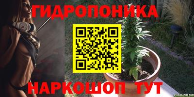 не бодяженный Камышлов