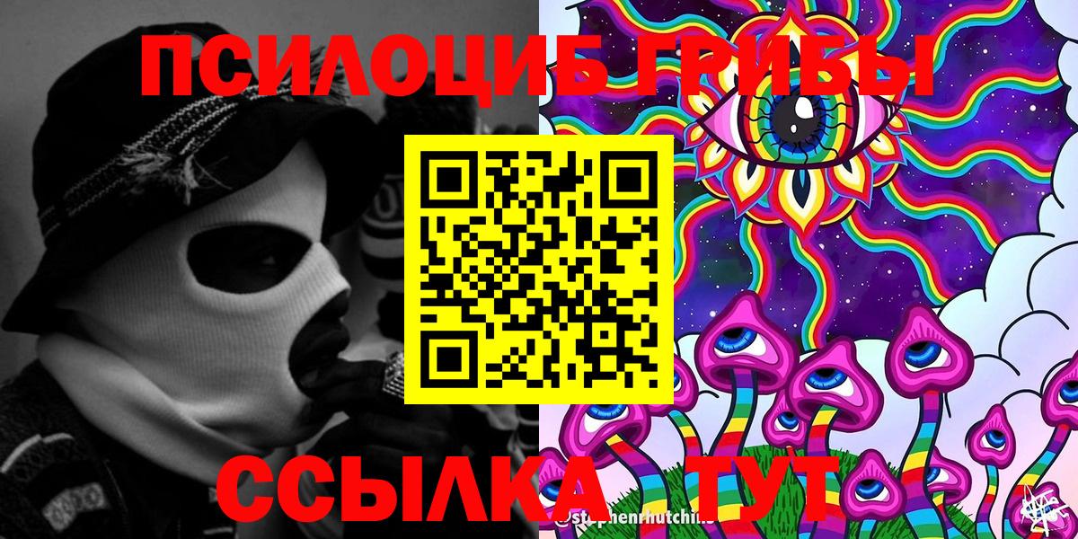 Галлюциногенные грибы Psilocybe Геленджик
