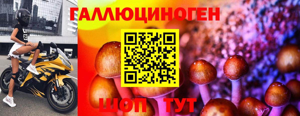 Геленджик  Псилоцибиновые грибы GOLDEN TEACHER  Вход с VPN 